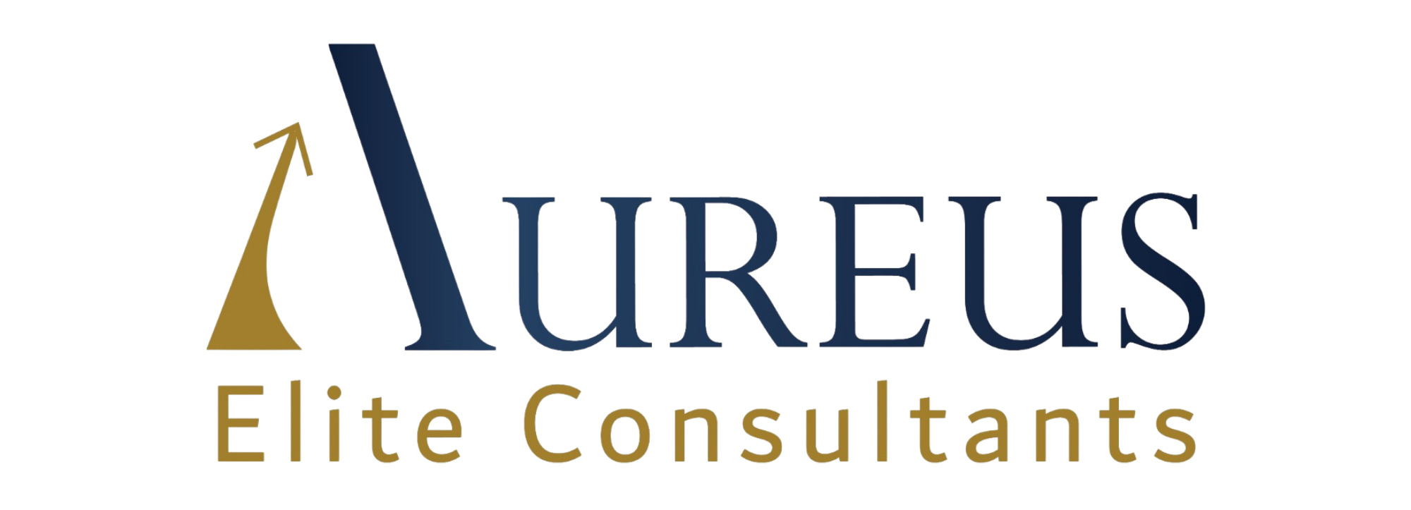 Aureus Elite Consultants LLC
